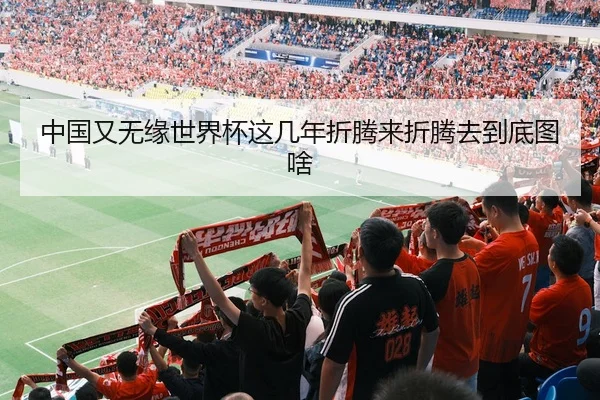 中国又无缘世界杯这几年折腾来折腾去到底图啥
